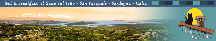 Bed & Breakfast Il Gatto sul Tetto - San Pasquale - Sardegna